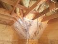 IMG 1082 IMG 1082