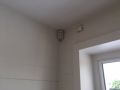 IMG 1802 IMG 1802