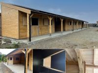 24 06 17 HORSELINE 24 06 17 HORSELINE