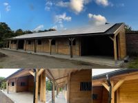 24 06 17 HORSELINE 02 24 06 17 HORSELINE 02